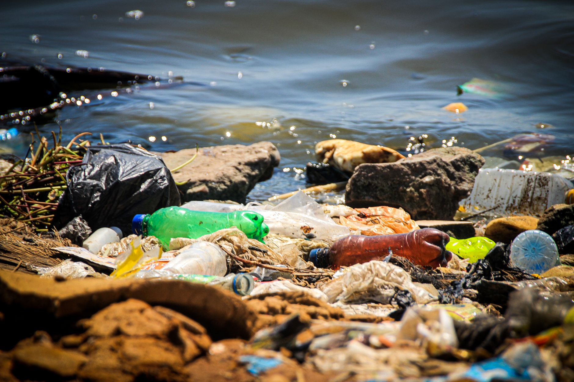 Plastic bottles and bags dumped along a shoreline